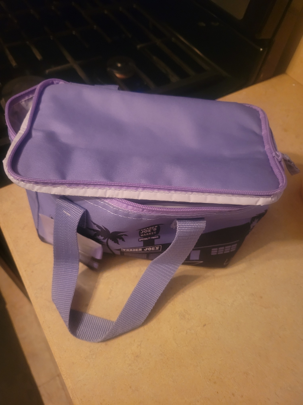 Trader Joes Mini Insulated Tote